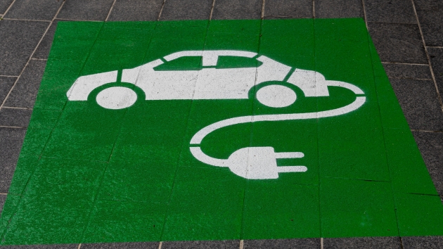 Die E-Automarken werden besonders oft weiterempfohlen - Quelle: Michael Marais/Unsplash